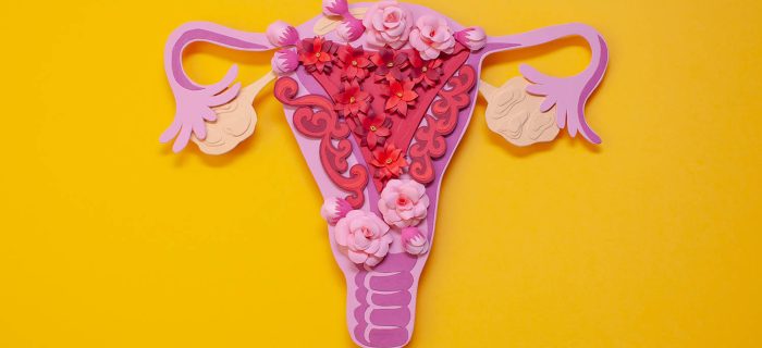 Março Amarelo &#8211; Mês Mundial da Conscientização da Endometriose.